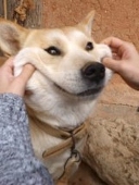 ゾンミン