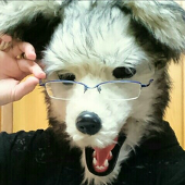 長月 陽火