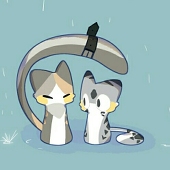 野良猫