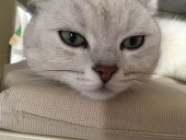 Rika_