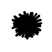 ✳︎