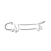 うずら？