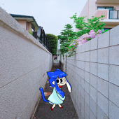 かぺら