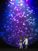 akaneuchi