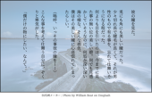 柊碧