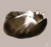 にぼし