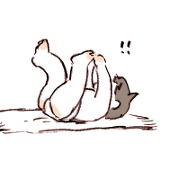 さくら