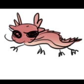 Fudaru