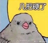 TUI