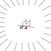 いりゅか