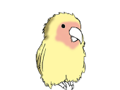 白河ももこ