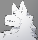 [KOA]