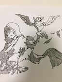 kamo