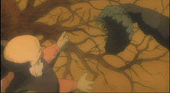 兎角
