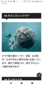 梅干し