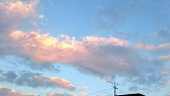 空良