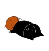 柏木のんω