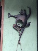 たぬき