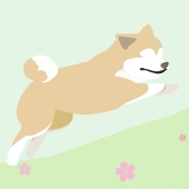 zii