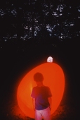 檸太