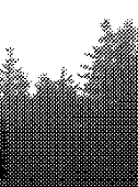 末