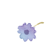 まと