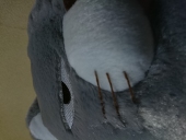 ねこまる