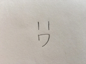 木菟