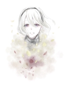 蛍