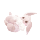 m i s a ໒꒱