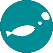 マンボウ