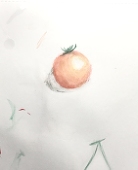月光と紅茶