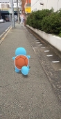 あまね