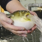 るり
