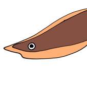 okaka