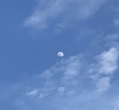 穿山甲穿