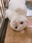 ミチル