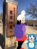 酒井麻衣