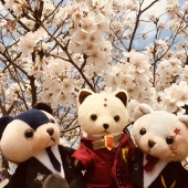 和泉聡