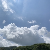 ニマ