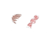 糸の字(狐)