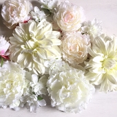 茉莉花