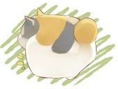 天野 架