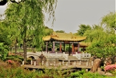 佐竹梅子