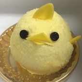 Saeri