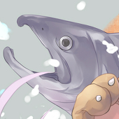 あわい