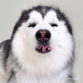 筵狻