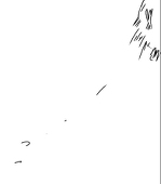 ちゅんちゅちゅ