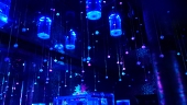 水月