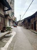 長谷川 秋山_ハセヤマ